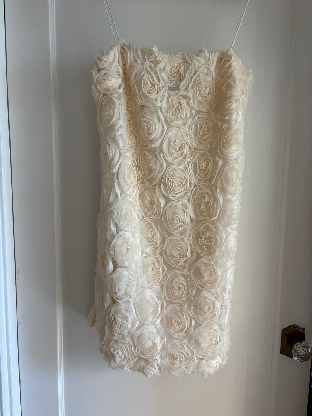 Ivory Rose-Embellished Strapless Dress